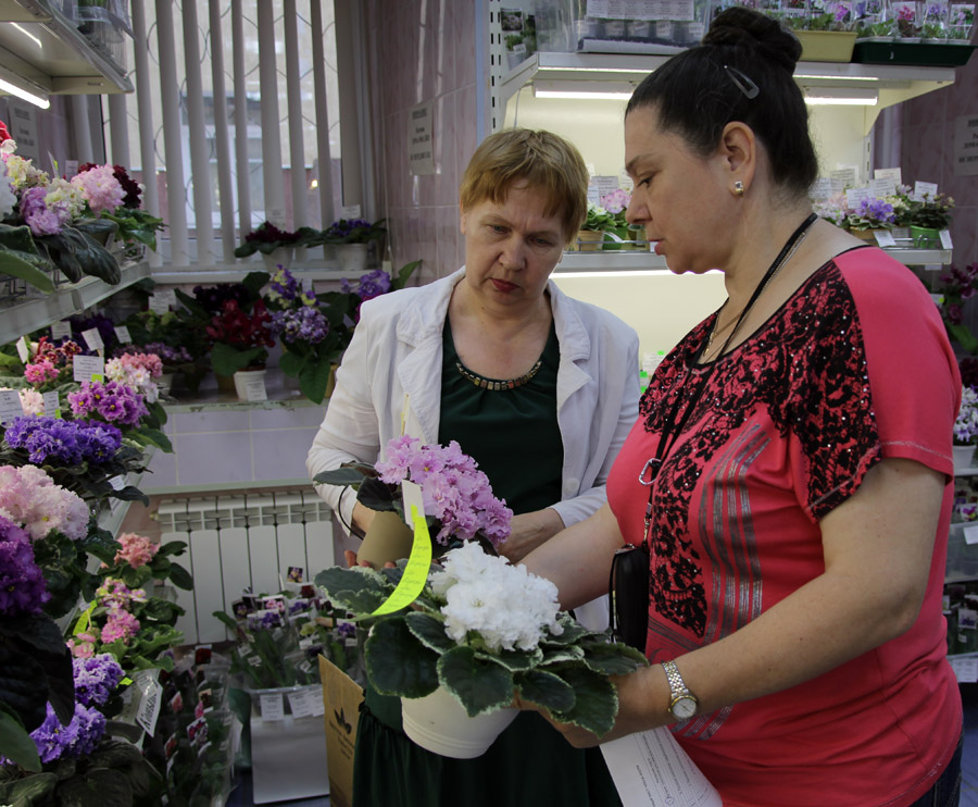 IMG_9507.JPG