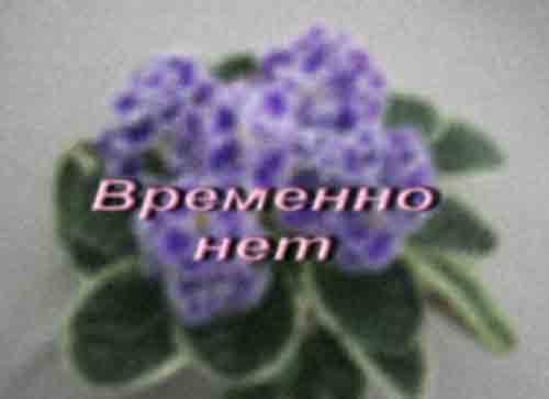 IMG_2854_22.jpg