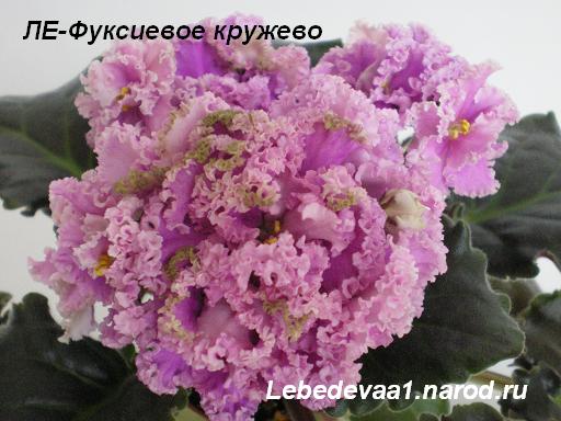 Ле-ФК (3) 20-20 текст.JPG