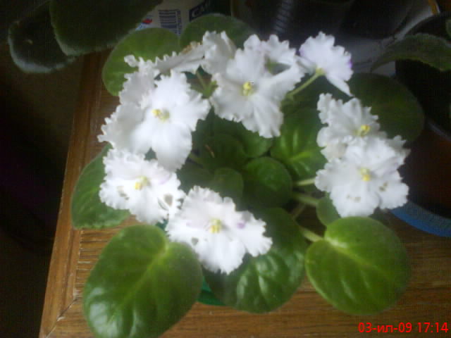 DSC00285.JPG