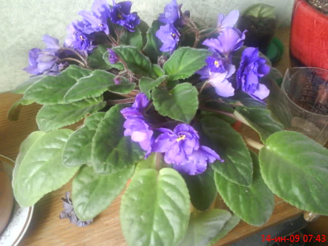 DSC00276.JPG