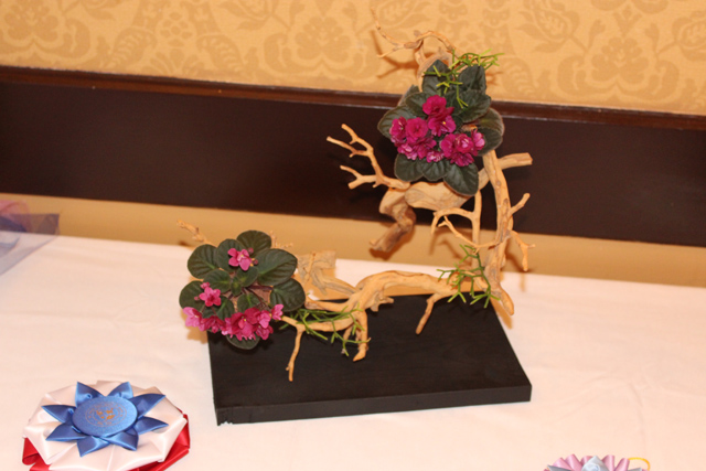 IMG_3267.JPG