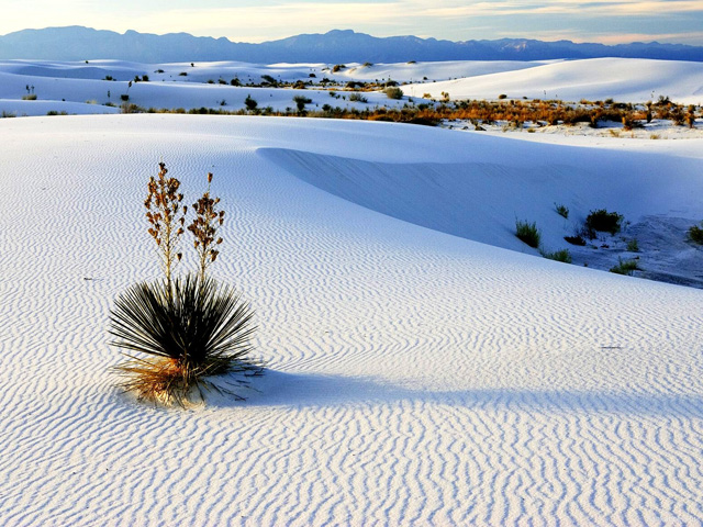 white-sands-national-monument.jpg