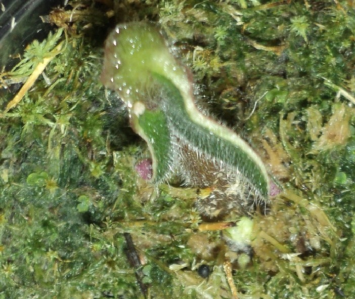 DSC09464.JPG