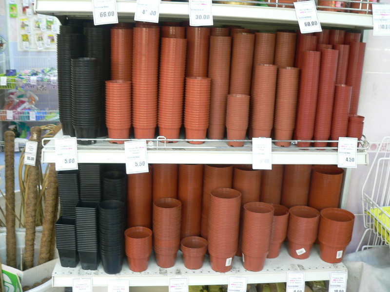 P1920220.jpg
