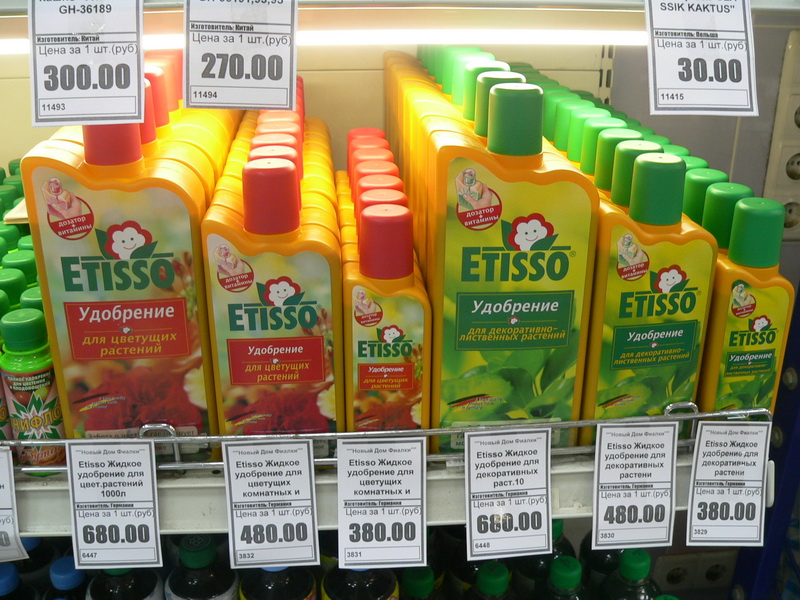 P1920231.jpg