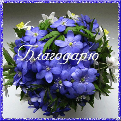 благодарю+.jpg