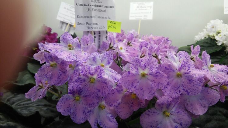 20160825_194047.jpg