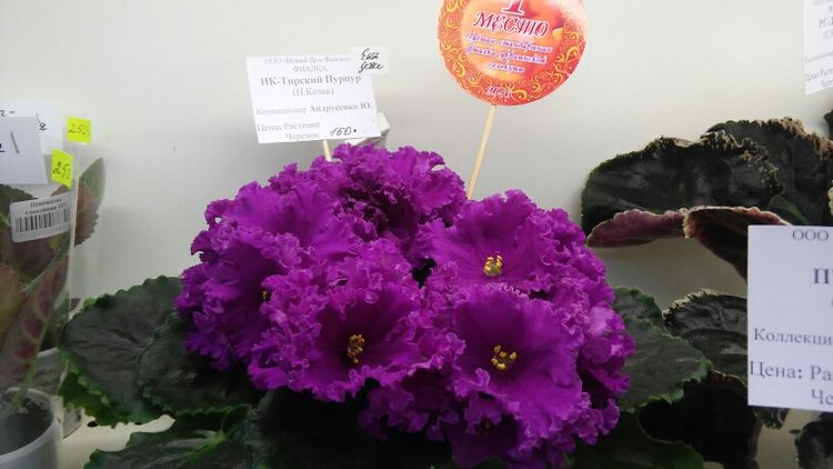 20160825_193028.jpg