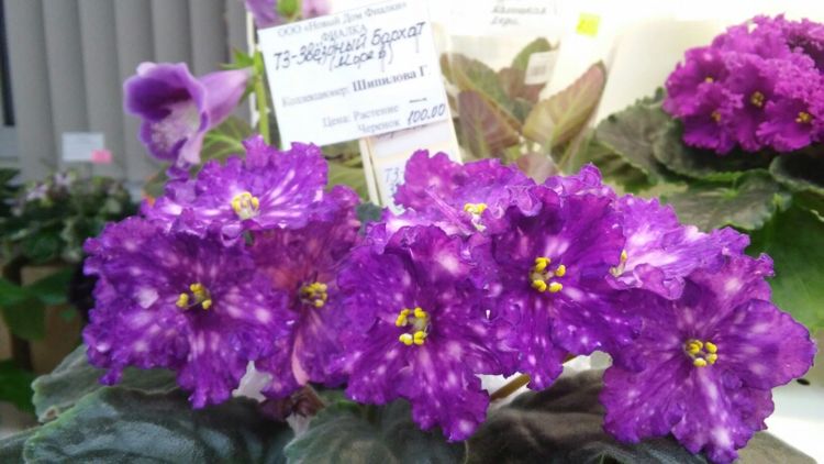 20160825_193304.jpg
