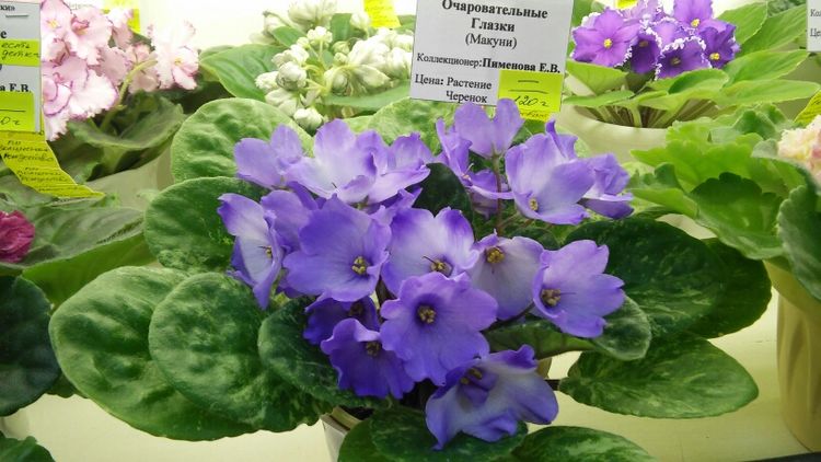20160825_193832.jpg