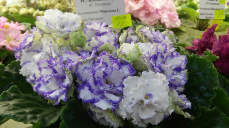 20160825_193901.jpg