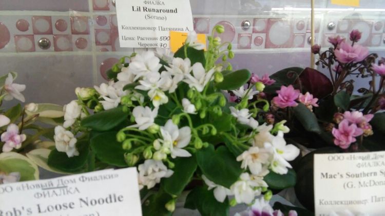 20160825_194229.jpg
