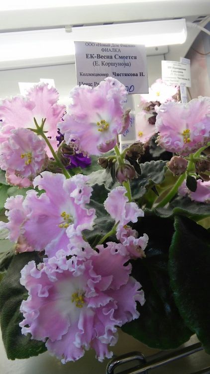 20160825_193502.jpg