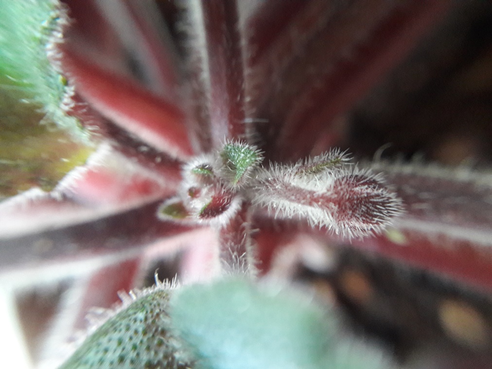 20160908_073734.jpg