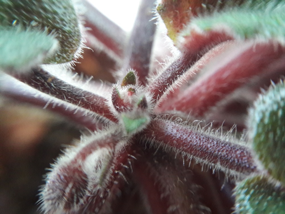 20160908_073744.jpg
