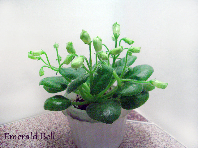 Emerald Bell.JPG