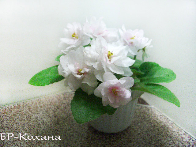БР-Кохана.JPG