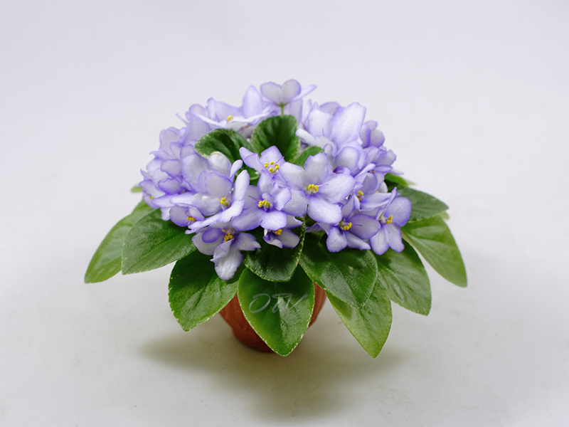 Н-Игра в Бисер