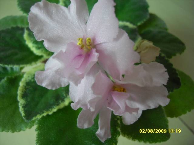 SDC16363_conv.jpg