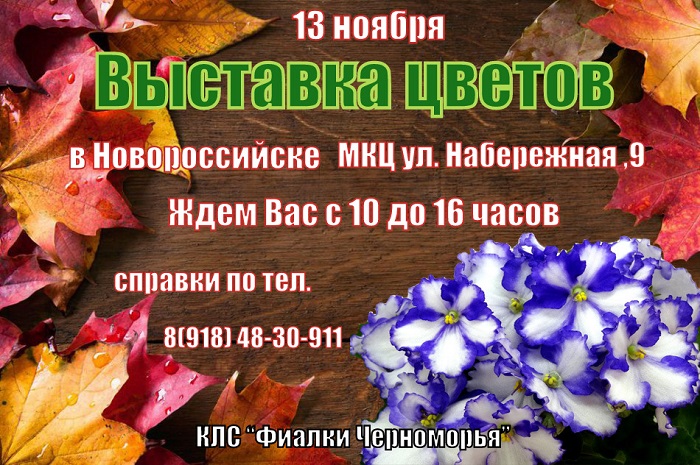выставка в новороссийске — копия.jpg