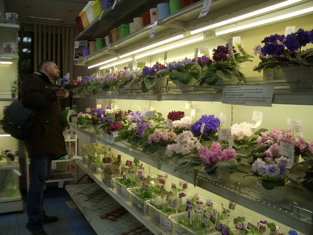 CIMG0011.JPG