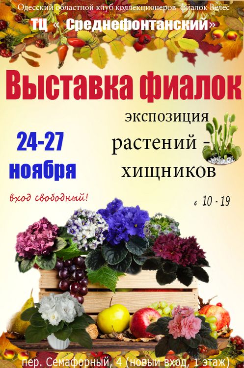 ноябрь-6-1  2016 копия Копия.jpg