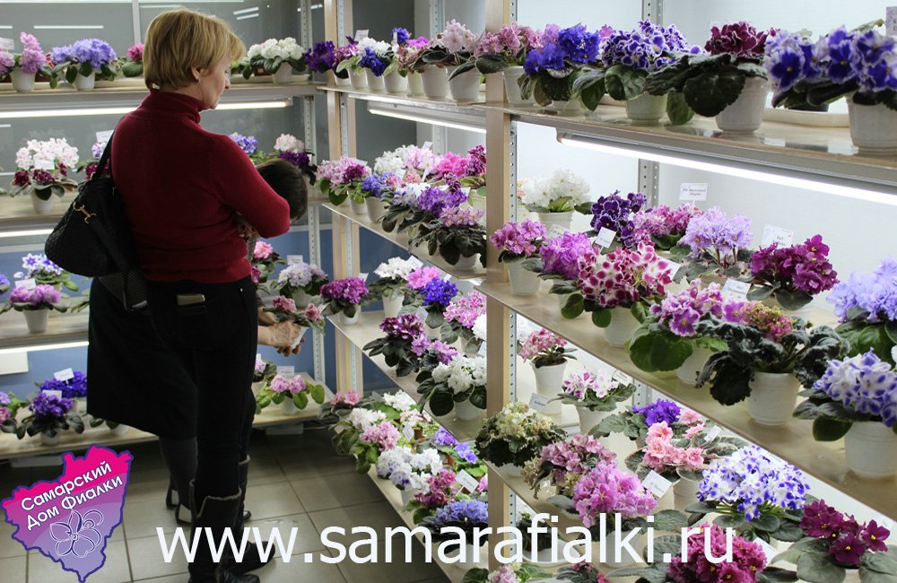IMG_9573 ф_rs.jpg