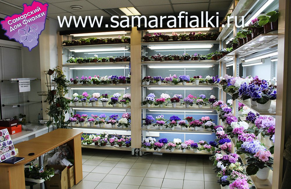 IMG_9388 ф_rs.jpg