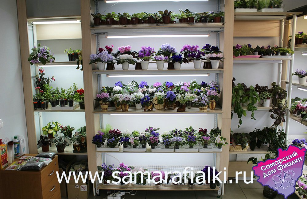 IMG_9385 ф_rs.jpg