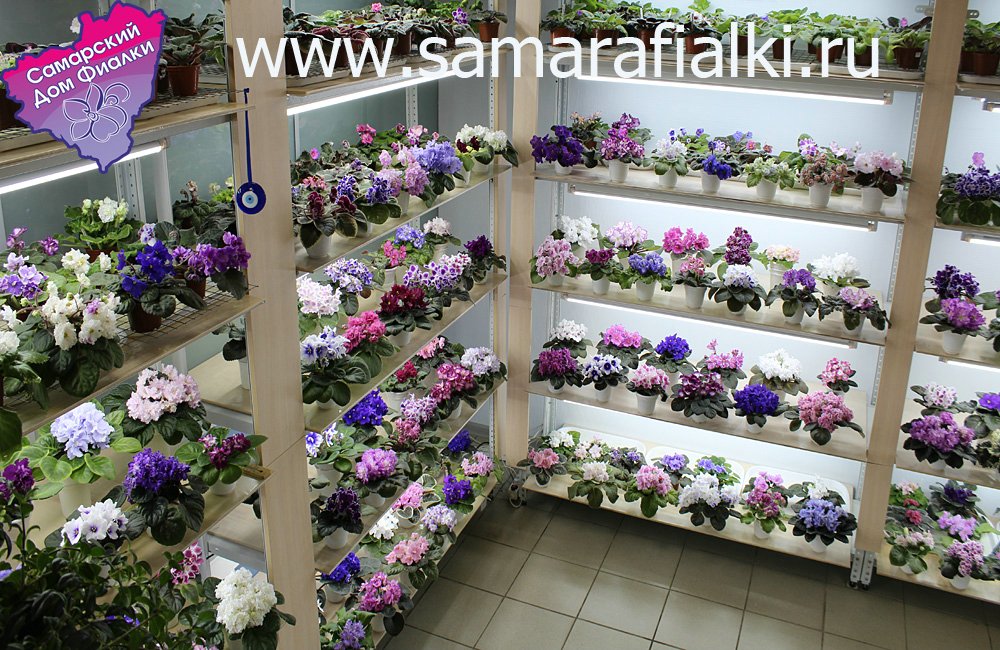 IMG_9379 ф_rs.jpg