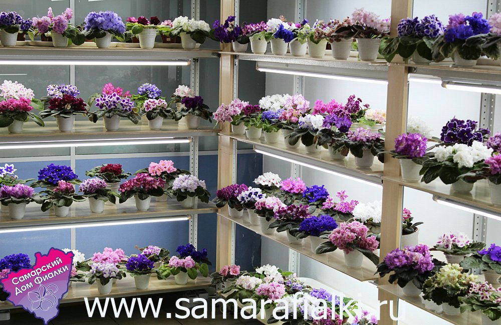 IMG_9374 ф_rs.jpg