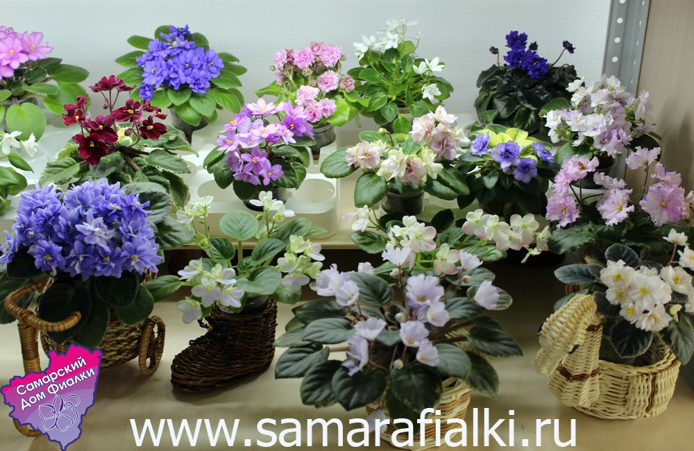 минюхи_rs.jpg
