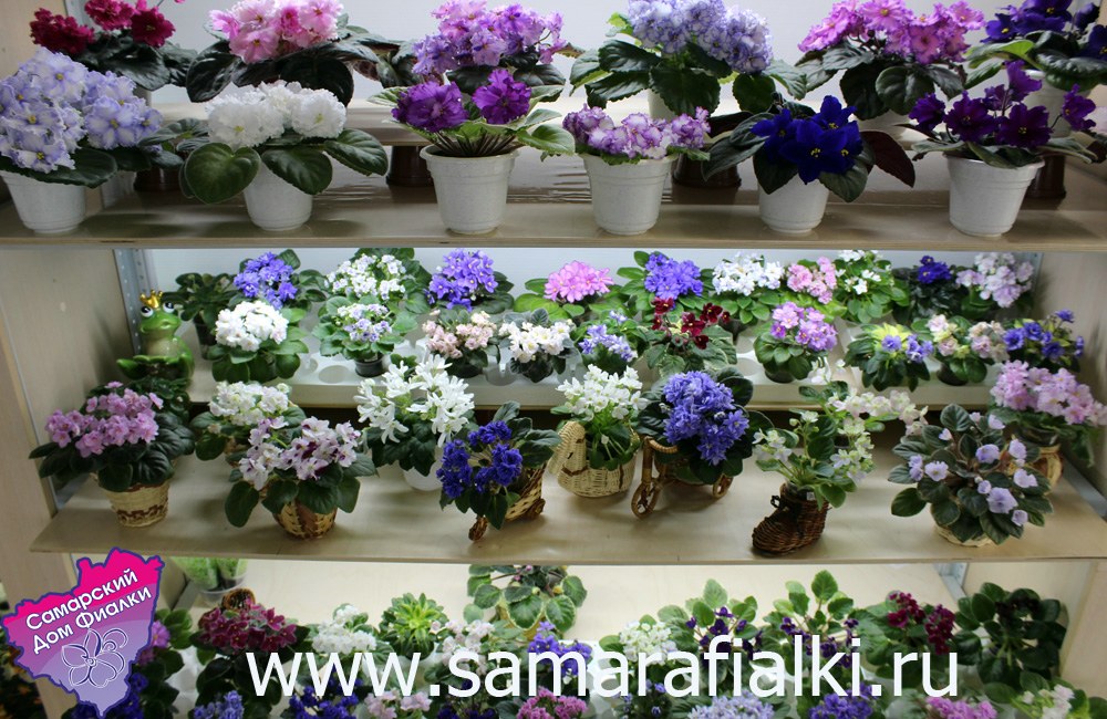 IMG_9396 ф_rs.jpg