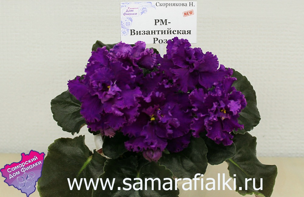 РМ-Византийская Роза_rs.jpg