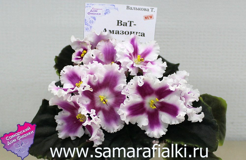 Ват-Амазонка_rs.jpg