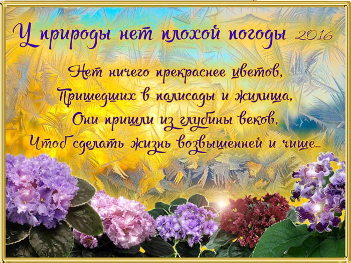 афиша.jpg