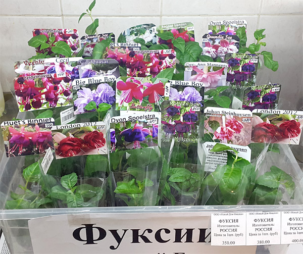 Безимени-12.jpg