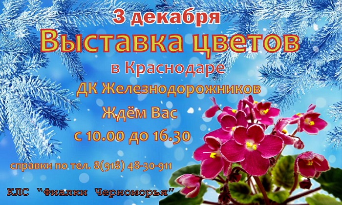 выставка 3 декабря ДК ЖД — копия.jpg
