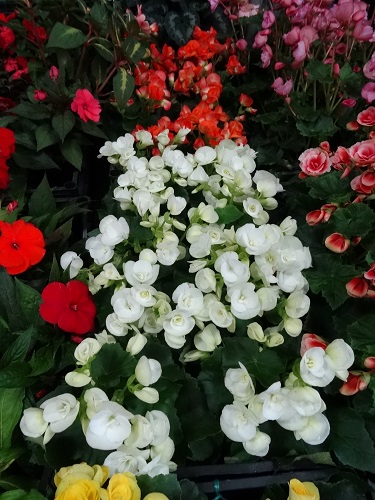 DSC04855.JPG