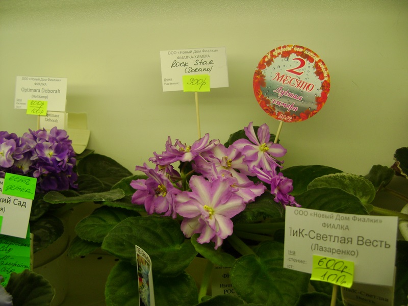 DSC00882.JPG