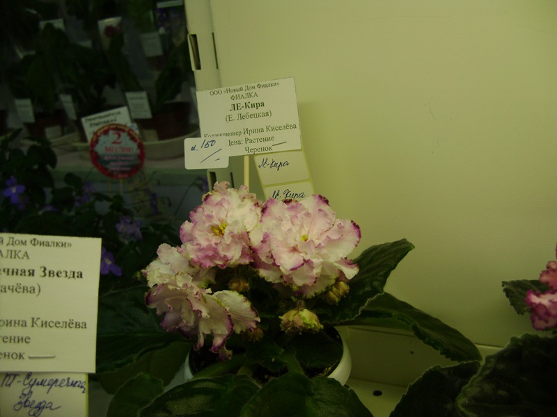 DSC00905.JPG