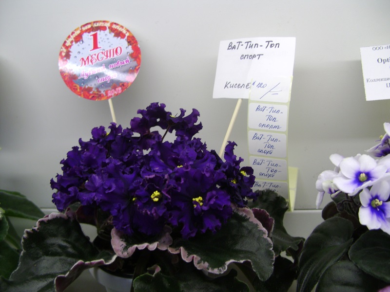 DSC00910.JPG