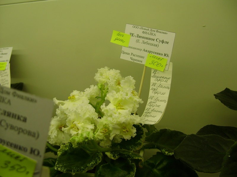 DSC00968.JPG