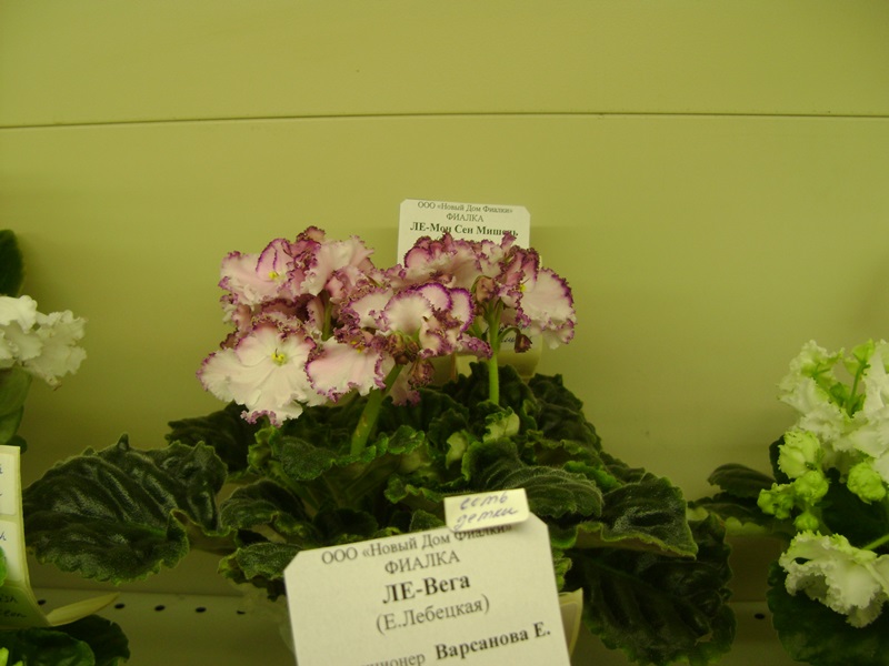 DSC00988.JPG
