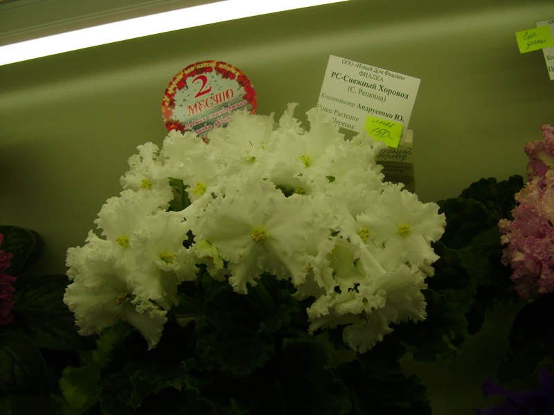 DSC01045.JPG