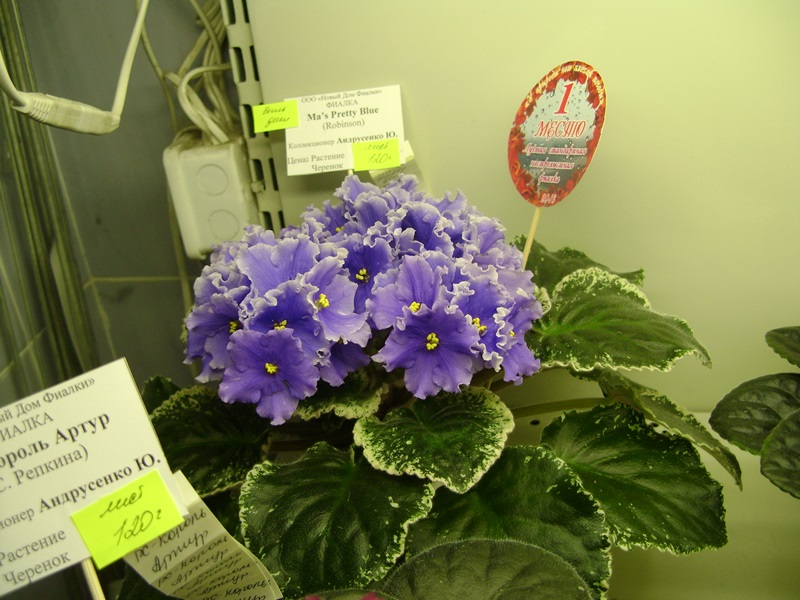 DSC01048.JPG