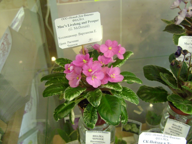 DSC01080.JPG