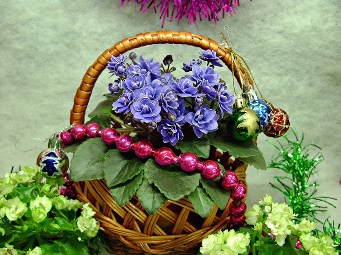DSC00499ДФ.JPG