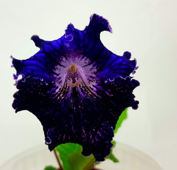 image11.jpg